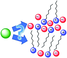 Graphical abstract: Structural investigations of molecular solutes within nanostructured ionic liquids