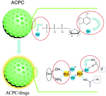 Graphical abstract: Tracking the interaction of drug molecules with individual mesoporous amorphous calcium phosphate/ATP nanocomposites – an X-ray spectromicroscopy study