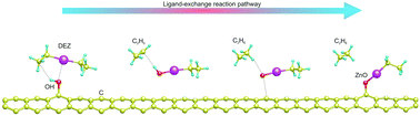 Graphical abstract: Understanding the first half-ALD cycle of the ZnO growth on hydroxyl functionalized carbon nanotubes