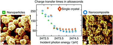 Graphical abstract: Tailoring ultra-fast charge transfer in MoS2