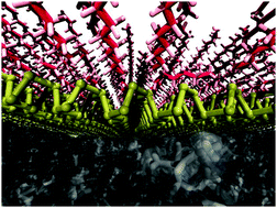 Graphical abstract: Noncovalent passivation of supported phosphorene for device applications: from morphology to electronic properties