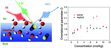 Graphical abstract: Specific counter-cation effect on the molecular orientation of thiocyanate anions at the aqueous solution interface