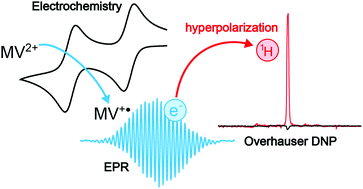 Graphical abstract: Electrochemical Overhauser dynamic nuclear polarization