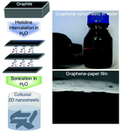Graphical abstract: An experimental and steered molecular dynamics simulation approach to histidine assisted liquid-phase exfoliation of graphite into few-layer graphene