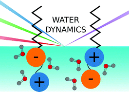 Graphical abstract: Orientation independent vibrational dynamics of lipid-bound interfacial water