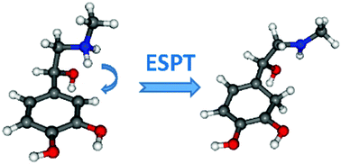 Graphical abstract: Excited-state proton transfer in protonated adrenaline revealed by cryogenic UV photodissociation spectroscopy