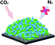 Graphical abstract: Molecular transport in ionic liquid/nanomembrane hybrids