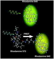 Graphical abstract: Gas-phase Förster resonance energy transfer in mass-selected ions with methylene or peptide linkers between two dyes: a concerted dance of charges