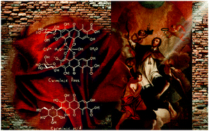 Graphical abstract: Photophysics and photochemistry of carminic acid and related natural pigments