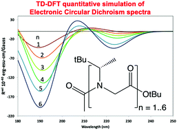 Graphical abstract: Relating circular dichroism to atomic structure by means of MD simulations and computed CD spectra with α-peptoids as an example