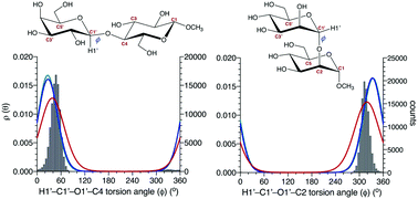 Graphical abstract: Reconciling MA′AT and molecular dynamics models of linkage conformation in oligosaccharides