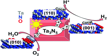 Graphical abstract: Designing an active Ta3N5 photocatalyst for H2 and O2 evolution reactions by specific exposed facet engineering: a first-principles study