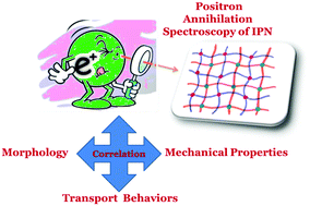Graphical abstract: Positron annihilation spectroscopic characterization of free-volume defects and their correlations with the mechanical and transport properties of SBR–PMMA interpenetrating polymer networks