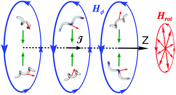 Graphical abstract: Towards focusing of a swarm of magnetic micro/nanomotors