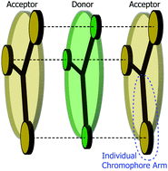 Graphical abstract: Entangled excitons via spontaneous down-conversion