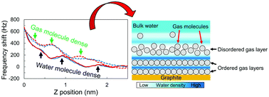 Graphical abstract: Gas molecules sandwiched in hydration layers at graphite/water interfaces