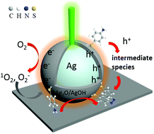 Graphical abstract: Plasmon catalytic PATP coupling reaction on Ag-NPs/graphite studied via in situ electrochemical surface-enhanced Raman spectroscopy