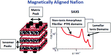 Graphical abstract: SAXS signature of the lamellar ordering of ionic domains of perfluorinated sulfonic-acid ionomers by electric and magnetic field-assisted casting