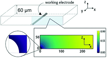 Graphical abstract: Visualising electrochemical reaction layers: mediated vs. direct oxidation