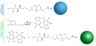 Graphical abstract: Effects of polydopamine-passivation on the optical properties of carbon dots and its potential use in vivo