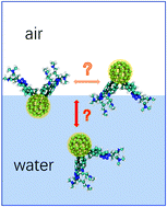 Graphical abstract: Molecular dynamics simulations on fullerene surfactants with different charges at the air–water interface