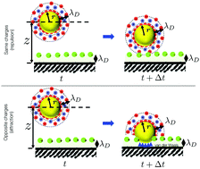 Graphical abstract: Colloidal particle deposition on microchannel walls, for attractive and repulsive surface potentials