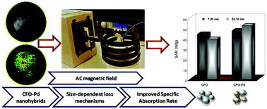 Graphical abstract: Structural perspective on revealing heat dissipation behavior of CoFe2O4–Pd nanohybrids: great promise for magnetic fluid hyperthermia