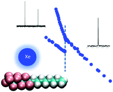 Graphical abstract: From nano-seggregation to mesophases: probing the liquid structure of perfluoroalkylalkanes with 129Xe NMR spectroscopy