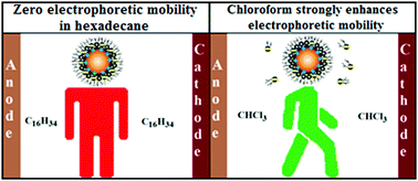 Graphical abstract: The formation of free ions and electrophoretic mobility of Ag and Au nanoparticles in n-hexadecane–chloroform mixtures at low concentrations of AOT