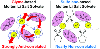 Graphical abstract: Solvent effects on Li ion transference number and dynamic ion correlations in glyme- and sulfolane-based molten Li salt solvates