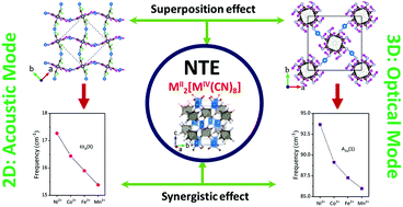 Graphical abstract: Large and tunable negative thermal expansion induced by a synergistic effect in M2II[MIV(CN)8] Prussian blue analogues
