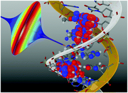 Graphical abstract: Excitation energy transport in DNA modelled by multi-chromophoric field-induced surface hopping