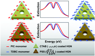 Graphical abstract: Probing the role of oscillator strength and charge of exciton forming molecular J-aggregates in controlling nanoscale plasmon–exciton interactions