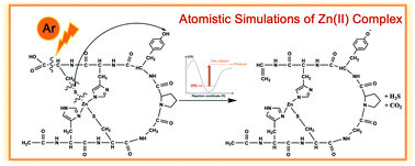 Graphical abstract: Collisional dynamics simulations revealing fragmentation properties of Zn(ii)-bound poly-peptide