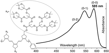 Graphical abstract: Spectroscopy and excited state dynamics of nearly infinite polyenes