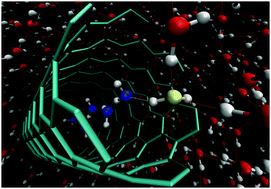 Graphical abstract: From a bulk to nanoconfined water chain: bridge water at the pore of the (6,6) carbon nanotube