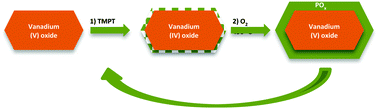 Graphical abstract: Mechanistic studies of atomic layer deposition on oxidation catalysts – AlOx and POx deposition