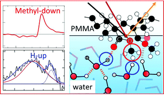 Graphical abstract: Structure of water and polymer at the buried polymer/water interface unveiled using heterodyne-detected vibrational sum frequency generation