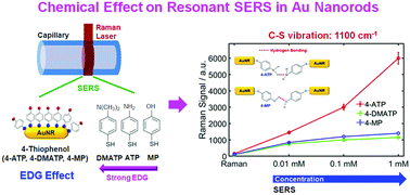 Graphical abstract: Effect of chemisorbed thiophenols with an electron donating group on surface-enhanced Raman scattering of gold nanorods