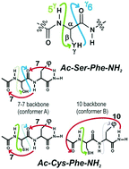 Graphical abstract: An intraresidue H-bonding motif in selenocysteine and cysteine, revealed by gas phase laser spectroscopy and quantum chemistry calculations