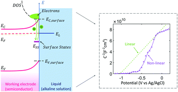 Graphical abstract: Interpreting interfacial semiconductor–liquid capacitive characteristics impacted by surface states: a theoretical and experimental study of CuGaS2