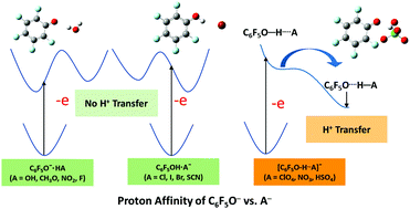 Graphical abstract: Determinants for proton location and electron coupled proton transfer in hydrogen bonded pentafluorophenol–anion clusters