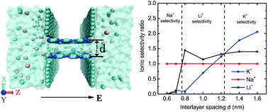 Graphical abstract: Controlling ion transport in a C2N-based nanochannel with tunable interlayer spacing