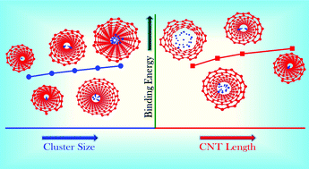 Graphical abstract: A swarm intelligence modeling approach reveals noble gas cluster configurations confined within carbon nanotubes