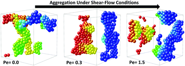 Graphical abstract: A mesoscopic numerical study of shear flow effects on asphaltene self-assembly behavior in organic solvents