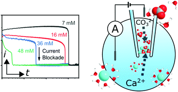 Graphical abstract: Nanoscale kinetics of amorphous calcium carbonate precipitation in H2O and D2O
