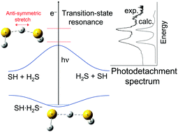 Graphical abstract: Quantum dynamics analysis of transition-state spectrum for the SH + H2S → H2S + SH reaction