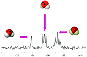 Graphical abstract: Deuterium isotope effects on 17O nuclear shielding in a single water molecule from NMR gas phase measurements