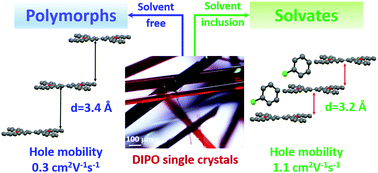 Graphical abstract: Tuning the π–π overlap and charge transport in single crystals of an organic semiconductor via solvation and polymorphism