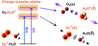 Graphical abstract: Photodissociation processes of a water–oxygen complex cation studied by an ion imaging technique